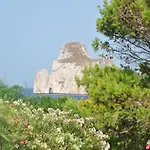 Bed & Breakfast Del Viale 3*