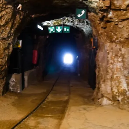 Del Viale Bacu Abis